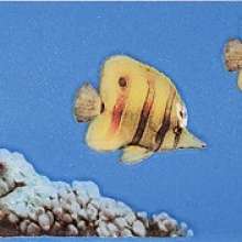 MONO FISH Бордюр синий BL 7х40