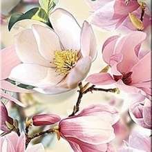 Boho Decor ''Magnolia'' 63х31.5