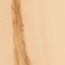 Керамогранит Element Wood Acero натуральный 20х120