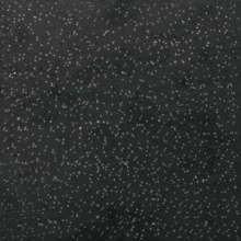 Pietra Lavica Astra Gryphea