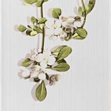 VITEL LIANA 2 Декор 27,5х40