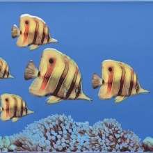 MONO FISH 2 Декор 27,5х40