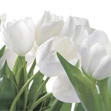 Бланка Панно из 4 плиток ПН11БН1 / PWU11BLN1 40х120