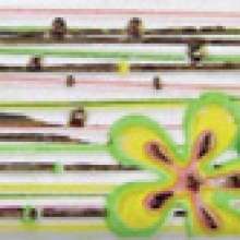 LIDA Бордюр GN 7х25