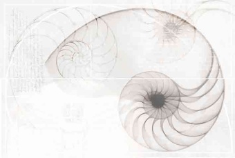 Nautilus панно ракушка многоцветный (NT2F453DT) 40x60