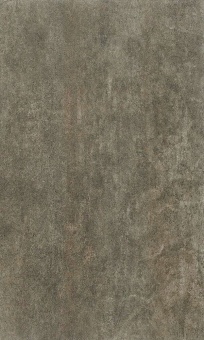 Плитка для стен Arkadia brown wall 02 50х30