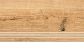 Woodhouse ступень коричневый (A-WS4O116\J) 29,7х59,8