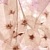Sakura Бордюр B300D131 4,5х30