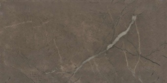 19053 Плитка для стен Эль-Реаль коричневый грань 20x9,9