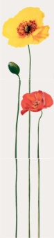 MONOCOLOR POPPY Панно (3 шт.х27,5х40) красное R 27,5х120