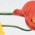 MONOCOLOR POPPY Бордюр красный R 7х27,5