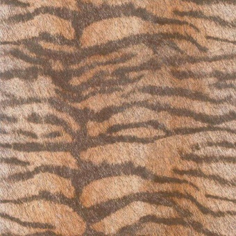 Напольная плитка (керамогранит) Cavallino Tiger 45x45    – Cifre Ceramica
