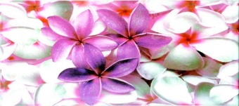 Виолет - цветы (Сиреневая)