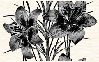 Piano черный Вставка декоративная сортовые 400х250х8